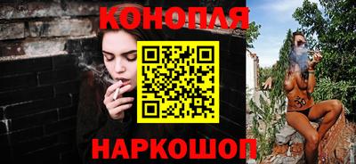 шишки Апшеронск