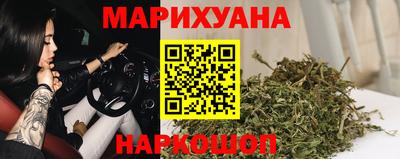 шишки Апшеронск