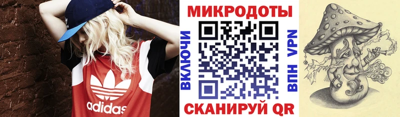 Галлюциногенные грибы Psilocybine cubensis  кракен ССЫЛКА  Бахчисарай 