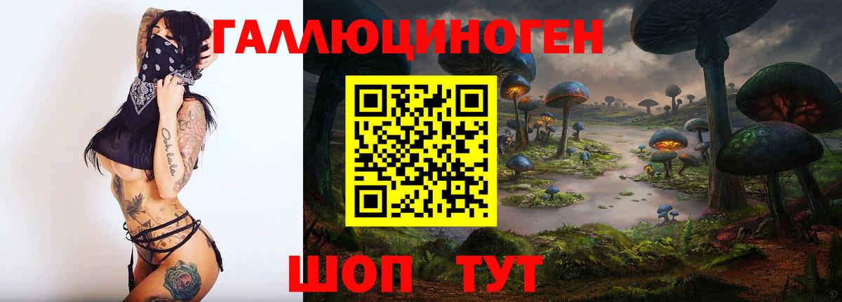 Бахчисарай  где купить   Вход с VPN  Псилоцибиновые грибы мицелий 