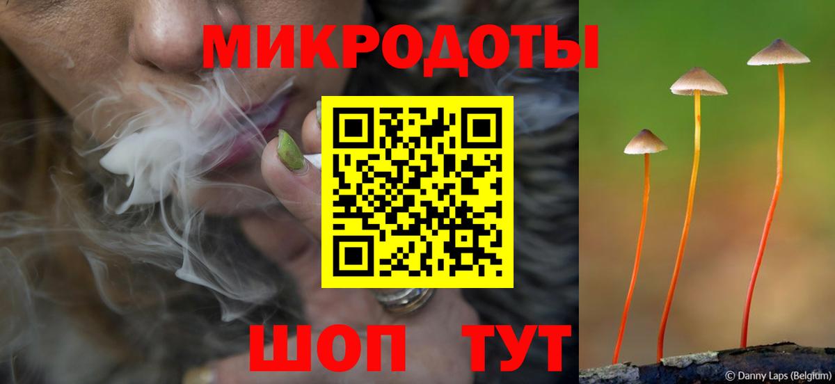 Галлюциногенные грибы MAGIC MUSHROOMS  даркнет сайт  Галлюциногенные грибы Psilocybe  Бахчисарай 